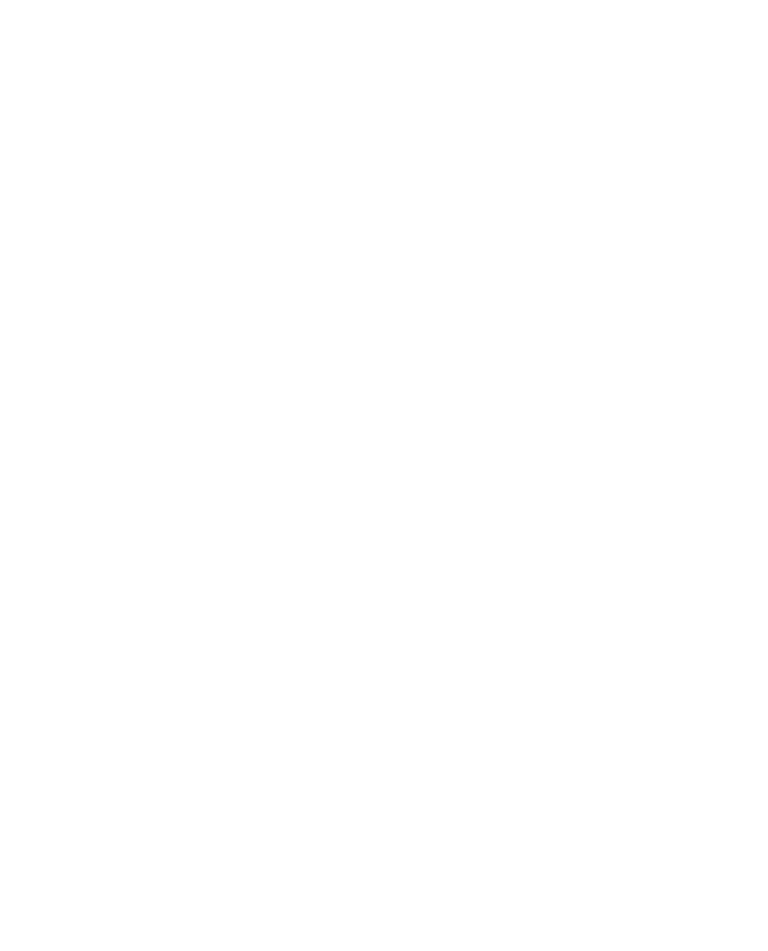 Platinum Logo